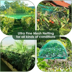 Green Plastic Trellis Netting and Anti-Bird Net for Orchards and Vineyards