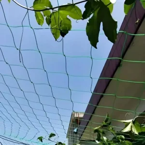 Greenhouse Agriculture Plastic Trellis Netting Plants Vegetables Bean Net Plant Support Net Trellis Netting 5x30ft