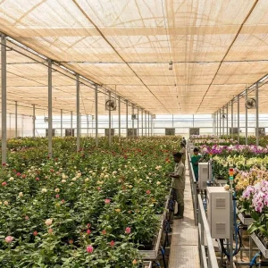 HDPE 80% Windproof Waterproof Folding Rectangle Greenhouse Shade Net
