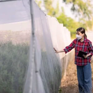 HDPE Agricultural Insect Netting in Rolls