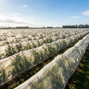 HDPE Anti-Insect Net UV Stabilized White Warp-Knitted Garden Mesh Screen for Greenhouse Farm Vegetables and Fruit