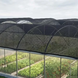 HDPE Black Greenhouse Sunshade Net 50%-95% Shading Rate Customized Mesh with UV Protection for Plant Nursery