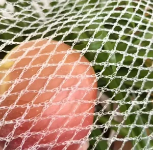 HDPE Garden Hail Netting and Anti-Bird Mesh for Apple Trees and Agriculture