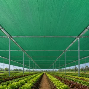 HDPE Green Warp-Knitted Shade Net 50%-80% UV Protection for Agricultural Greenhouses Gardens and Nurseries