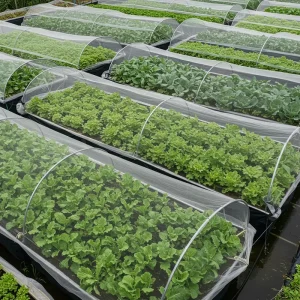 HDPE Greenhouse Insect Netting, 50, 60 and 70 Mesh, Roll