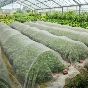 HDPE PE Insect Proof Net for Greenhouse Agriculture Garden Fruit Tree Hail Protection Shade with Cutting Service