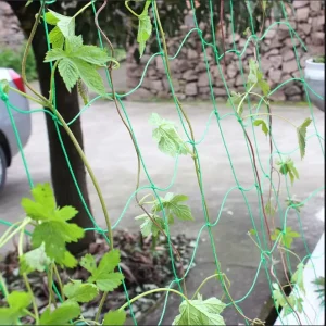 HDPE Plastic Anti Bird Netting Garden Mesh for Fruit Protection Anti Hail Netting for Agriculture