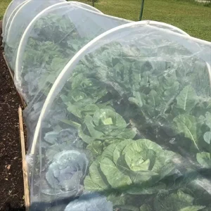 HDPE Plastic Anti Insect Net for Greenhouse and Agriculture