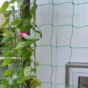 HDPE Plastic Diamond Garden Mesh Anti-Hail Netting for Agricultural Fruit Protection