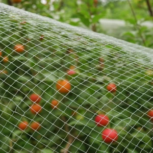 HDPE Roll Bird Netting for Garden Orchards, Vegetables and Plants