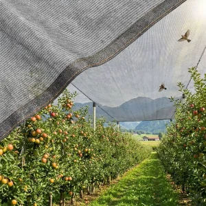 HDPE Shade Net Agricultural Greenhouse Shade Cloth 35% 50% 65% 80% 90% 95% Shade Factor UV Stabilized