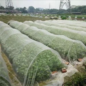 HDPE UV Anti Insect Net Mesh 80gsm 100m Length for Greenhouse Agricultural Use Durable 3 5 Years for Grapes Gardens
