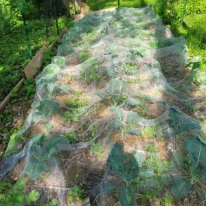 HDPE UV Plastic Bug Netting for Garden Birds and Plants Insect Barrier Woven Mesh