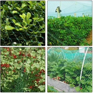 HDPE UV Protected Anti Bird Netting Garden Fruit Tree Protective Net