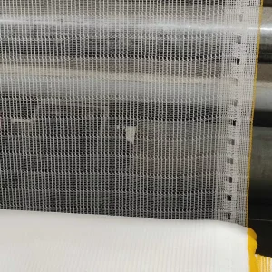 HDPE UV-Resistant Anti-Hail Net for Agricultural Gardens and Farms