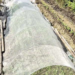HDPE UV-Resistant Greenhouse Insect Netting