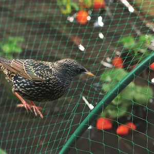 HDPE Waterproof Portable Bird Netting for Gardens Chicken Coops Deer Squirrels Poultry and Fruit Protection