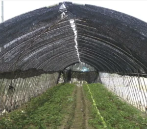 HDPE Woven Square Shade Net with Hot Sealed Edges Perfect for Agricultural Greenhouses & Outdoor Sun Protection