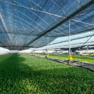 HDPE Woven UV Protection Shade Net for Farm and Garden