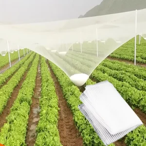 Hail Prevention Net White Grid Folding PE Material UV Protection Insect & Bird Prevention for Apple Orchard Agriculture