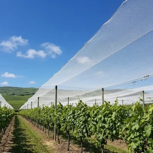 Hail Protection Net for Fruit Trees and Farms