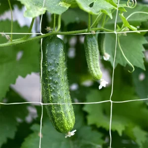 Heavy-Duty Garden Climbing Net Trellis for Fruit, Flower, and Vegetable Plant Support