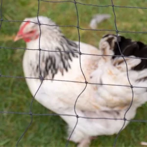 Heavy Duty HDPE Anti Bird Netting Effective Garden Fence Mesh for Crops Chicken Run Protection