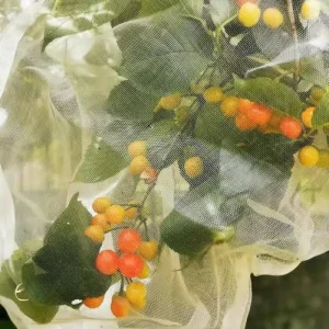 Heavy Duty PE Square Knitted Insect Net for Greenhouse Side Ventilation Anti Pest UV Protected Agricultural Mesh Roll