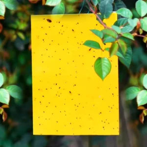 High Cost Effective Non Toxic Fly Mosquito Insect Catcher Mosquito Control Sticky Bug Traps