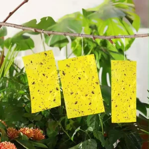 High Cost effective Yellow PP Gel Insect Glue Boards Catch Fruit Fly Sticky Bug Traps Outdoor Garden
