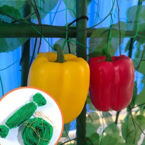 High Quality HDPE Mesh Plastic Flat Net 18x18cm 2 100m Garden Bean Plant Support Cutting Agriculture NET HOME Brand Knitted