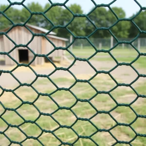 Hot Selling PVC Coated Chicken Wire Mesh Hexagonal Poultry Netting Chicken Fence Farm Garden Animal Barrier