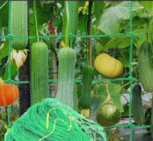 Hot SellingGreen Agriculture Trellis Netting for Climbing Plants Knotted Trellis Netting