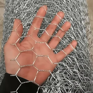 Hot-dipped Galvanized Hexagonal Wire Mesh for Chicken Coop and Poultry Farm Fence Durable Anti-Corrosive Pet Netting