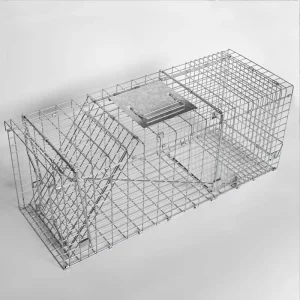 Humane Large Metal Live-Catch Cage Trap for Rats, Squirrels, and Rabbits