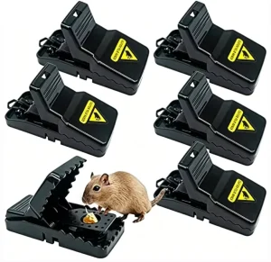 Indoor Humane Easy Set Plastic Quick Kill Mouse Rat Snap Killer Rodent Trap with Bait Trap