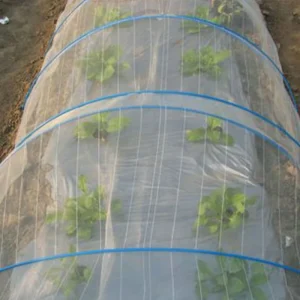 Insect Netting for Vegetable Gardens