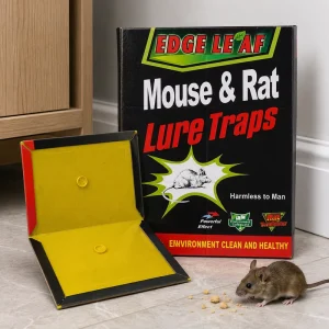 JH-8002 Eco-Friendly Disposable Mouse Glue Trap with Paper and Gel, 21 x 16 cm