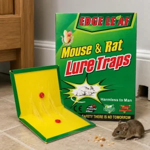 Large Mouse and Rat Glue Board, Disposable Indoor Gel Glue Trap