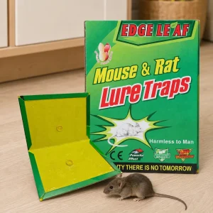 Large Rat Glue Trap Mouse Glue Trap Disposable Pest Control Sticky Glue Board Indoor Animal Glue Trap