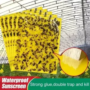 Long-Lasting Waterproof Sunproof Yellow Sticky Traps for Indoor Plants, Gardens, and Nurseries