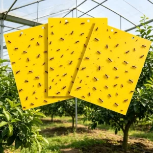Low MOQ Eco Friendly Disposable Gel Yellow Sticky Traps Weatherproof for Greenhouse and Livestock Farm Pest Management