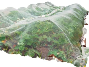 Maillestore Insect Netting Anti Bird Net PE Material Anti Uv 50gr m 6m X 5m Crystal