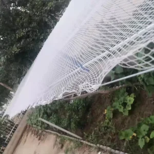 Manufacturer Waterproof Windproof Green Garden Netting for Vegetables Fruits Birds Crops and Plants