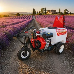 New Professional BAOYU Agricultural Pump Sprayer Motor Mist Evenly High Production Efficiency Engine Pump Long Service Life