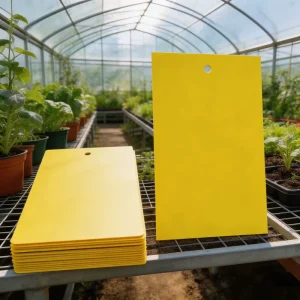 Non-Toxic Biodegradable Gel Yellow Sticky Insect Traps for Greenhouse Orchard Livestock and Farm Use