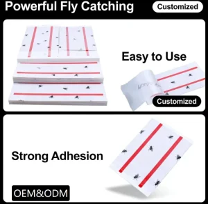 Non-Toxic Eco-Friendly Disposable Sticky Fly Trap for Indoor Use