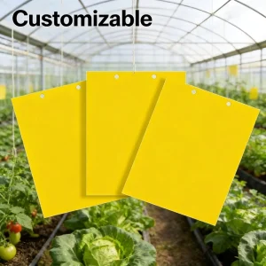 Non-Toxic Yellow Gel Disposable Sticky Traps for Greenhouses, Orchards, Livestock Farms, and Mosquito Control