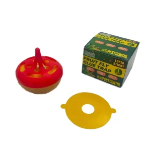 Non toxic Long lasting High adhesion Fruit Fly Sticky Trap