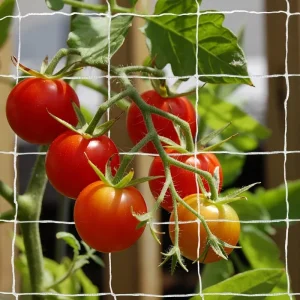 Nylon Garden Trellis Net for Cucumber, Tomato, and Grape Climbing Plants